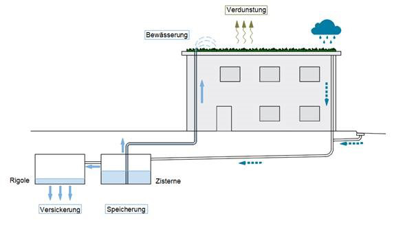 BlauGrün Die Grafik zeigt eine Möglichkeit, wie Regenwasser zur Bewässerung von Pflanzen und zur Kühlung eines Hauses beiträgt und wie es im Boden zwischengespeichert wird